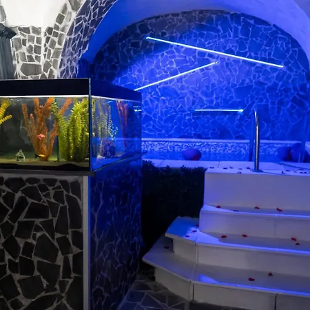 Lavica Luxury Катания